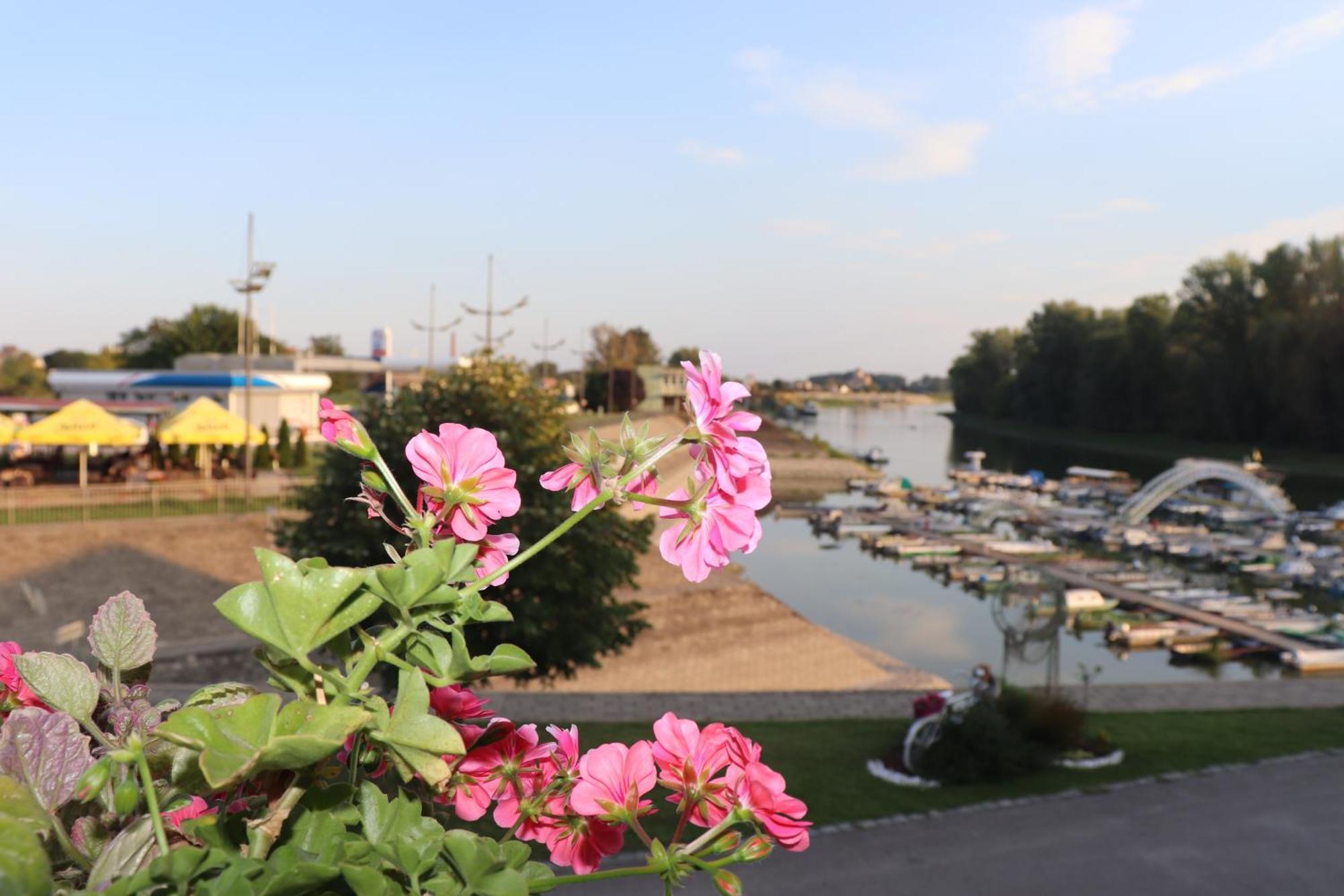 אפטין Apartments Marina מראה חיצוני תמונה